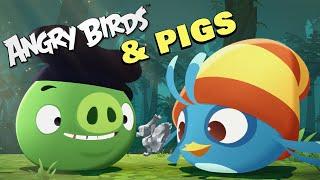 All The Loving & Caring Moments Between Angry Birds & Pigs 