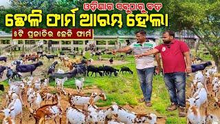 ସବୁଠାରୁ ବଡ଼ ଛେଳି ଫାର୍ମ ଆରମ୍ଭ ହେଲା  Biggest Goat farm in Odisha  Largest Goat farm in Odisha.