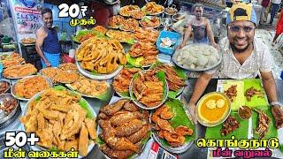 மீன் உலகின் சொர்கம் 50+ Fish Varieties  Kongunadu Meen Varuval  Tamil Food Review