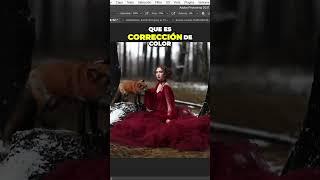 Diferencia entre corrección de color y Colorización #adobephotoshop #photoshopefectos #adobesoftware