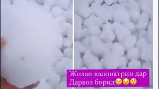 15-02-2023 Дар пуштаҳои Умараки Дарвоз Жолаи калонтарин боридааст? Ин жола не Ба фикри мо ин Тарма.