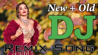 New Best Old Dj Remix  New Best Old Dj Remix  JBL Dj Remix Old Hindi 2024 Mix  HINDI REMIX 2024