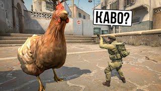 Необычные консольные команды csgo