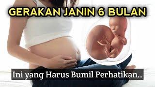 GERAKAN JANIN 6 BULAN YANG NORMAL Ibu Hamil Perhatikan Hal Ini..