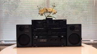 Pioneer SX-339 and Telefunken TLX 10 Professional 30% Volume