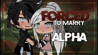 Forced To Marry The Alpha  Gacha Life Mini Movie  GLMM