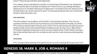 Job 4 - Bible Every Morning