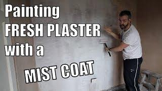 How to Mist Coat plaster - How to paint fresh plaster the right way - Mist Coating new plaster ratio