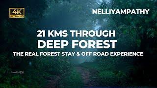 21 km przez głęboki las  Pobyt w lesie Nelliyampathy  Vlog nr 81