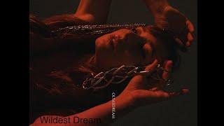 WILDEST DREAM Lyrics Video ft. Hand Pan