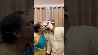 Oii appadi podu #shorts #shortvideo #trending #puppy