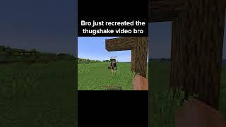 Minecraft Funny