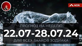 Уникальный Прогноз на Неделю с 22 по 28 Июля 2024 для Всех Знаков Зодиака Ясновидящая Лилии Нор