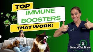 Part 1 Boosting Pet & Human Immune Health Gut Health Secrets Revealed with Dr. Katie Woodley