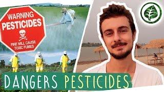 Des PRODUITS CHIMIQUES dans ton assiette ? Tout savoir sur les PESTICIDES