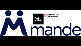 MANDE Network  Ava Labs  Avalanche