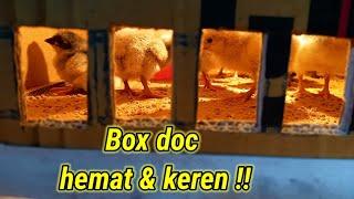 Box doc Dari kardus. #ternakayam #001 #kreatiftv @KreatifTV