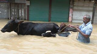 Deadly floods in Bangladesh affect millions  AFP