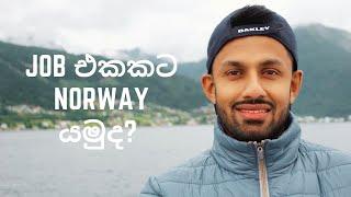 Easy way to go for a job in Norway ලේසියෙන් Job එකකට Norway යන විදිය 