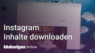 INSTAGRAM STORIES FOTOS VIDEOS DOWNLOADEN  kbdesignzonline