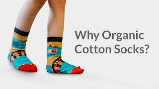 Why Organic Cotton Socks Are The Best?