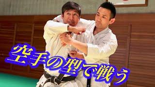 【30minutes】FIGHT WITH HEIAN KATA  PERFECT VERSION Tatsuya Naka）