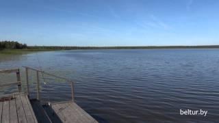 Гостевой дом Ольшица - озеро Ольшица Отдых в Беларуси