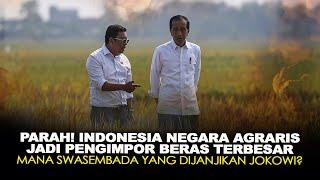 PARAH INDONESIA NEGARA AGRARIS JADI PENGIMPOR BERAS TERBESAR MANA JANJI SWASEMBADA JOKOWI?