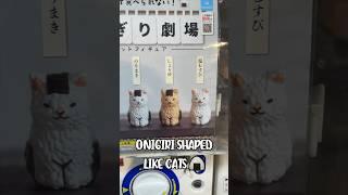 The Cutest CAT Capsule Toy 