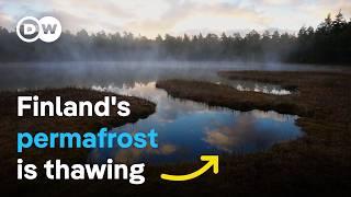 Melting wetlands - How can nature slow down climate change?  DW Documentary