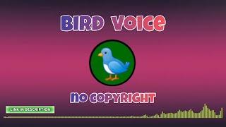 BIRD VOICE SOUND EFFECTS NO COPYRIGHT