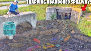 Trapping Aquarium Fish in ABANDONED SPILLWAY