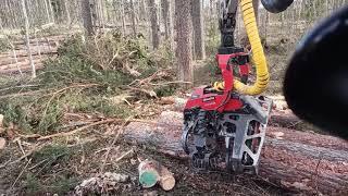 Komatsu 901xc VS big pine with c124