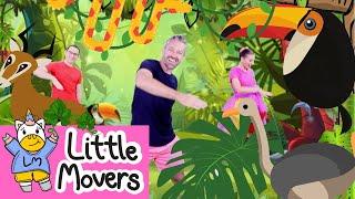 LOST JUNGLE DANCE  Animal Dance  Little Movers