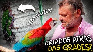 CRIAÇÃO DE ANIMAIS SILVESTRES E EXÓTICOS PARA VENDA?