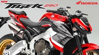 CUMA 20 JUTANHONDA TIGER REBORN 2024RESMI MENGASPAL DISAIN SANGAR  MOTOR TERBARU 2024