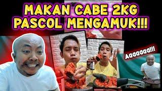 MAKAN CABE 2 KILOGRAM PASCOL MENGAMUK