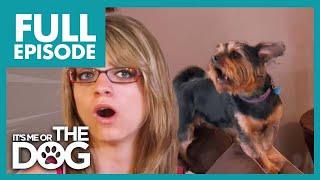 Daughter Forced to Help out with Dogs She HATES  Full Episode  Its Me or The Dog