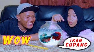 Drama  Dinda Juara Lomba Ikan Cupang