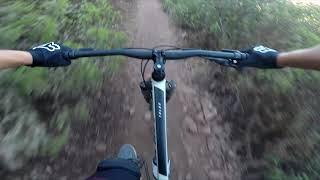 MTB Trail Ride on the 2021 Giant Talon 1