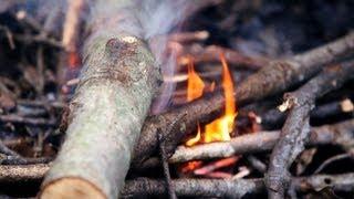 How to Make a Fire in Wet Conditions  Camping