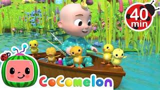 CoComelon - Five Little Ducks  Learning Videos For Kids  Education Show For Toddlers