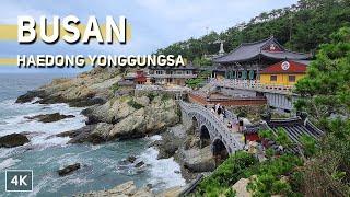 Most Beautiful Temple Haedong Yonggungsa in Korea  Must-visit Sea View Destinations in Busan