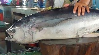 Live 22 Aug 24‼️Tuna cutting activities and various types of fresh fish at the Sorong fish market