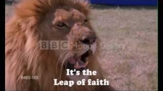 Circle of Life - Joseph McManners - the Lion King