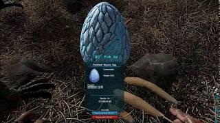 ARK Ragnarok Map Where to Find Ice Wyvern nests in Murder Snow Patch 264