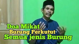 Doa mikat perkutut dan semua jenis Burung