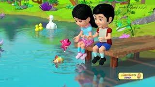 Machli Jal ki Rani Hai Hindi Rhyme  Hindi baby songs  Kindergarten   Preschool  Kiddiestv Hindi