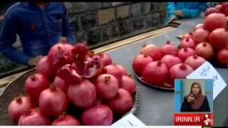 Iran Zardui village Paveh county Pomegranate festival جشنواره انار روستاي زردويي پاوه ايران