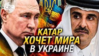 Эмир Путину Катар хочет мира в Украине который удовлетворил бы обе стороны конфликта